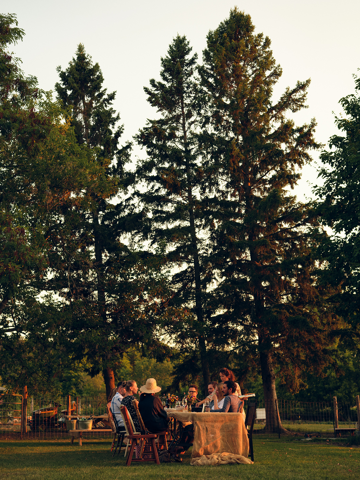 A group dining at a harvest table among evergreens