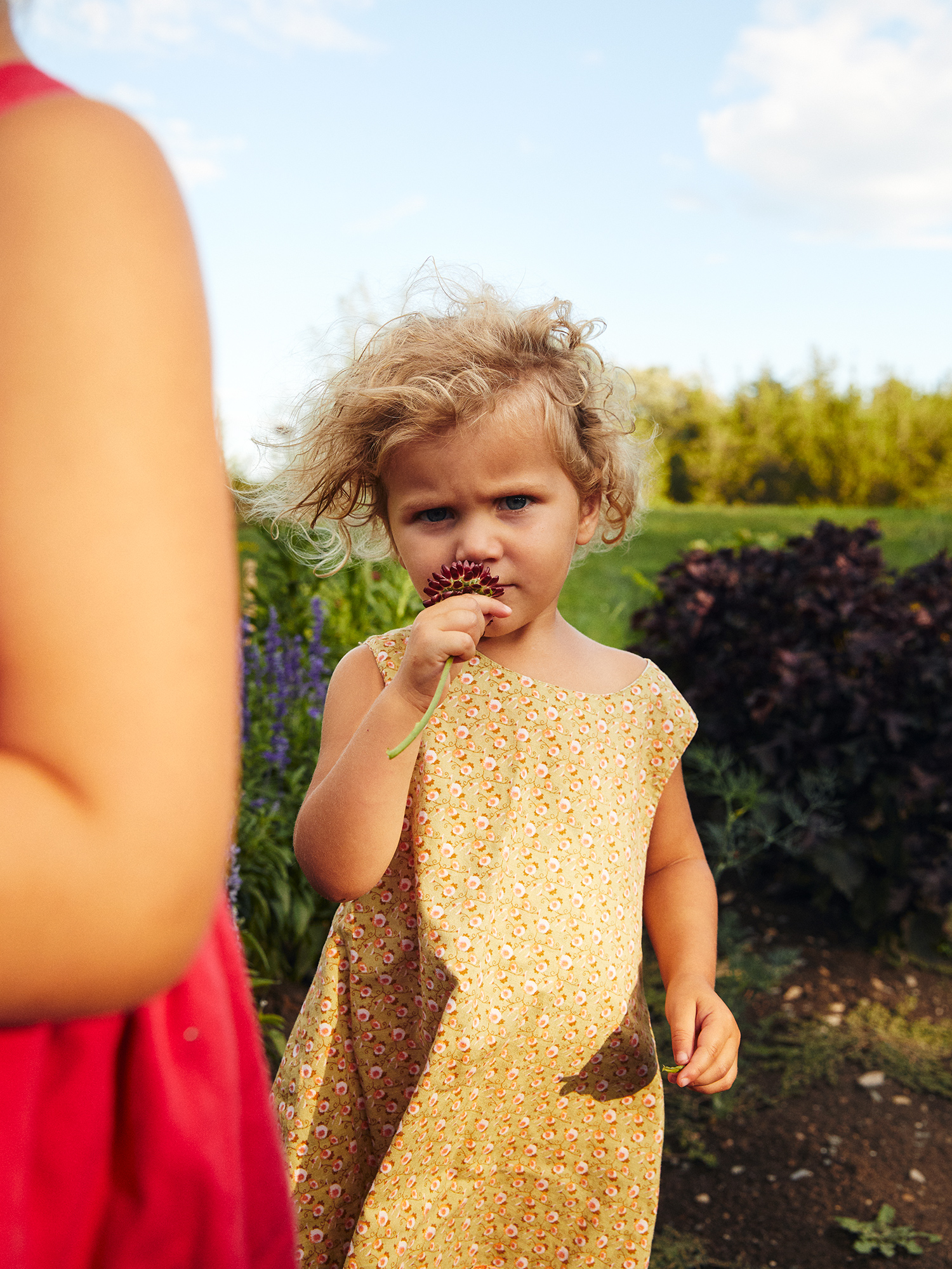 Five year old girl in a yellow flowered dress, sniffing a purple flower