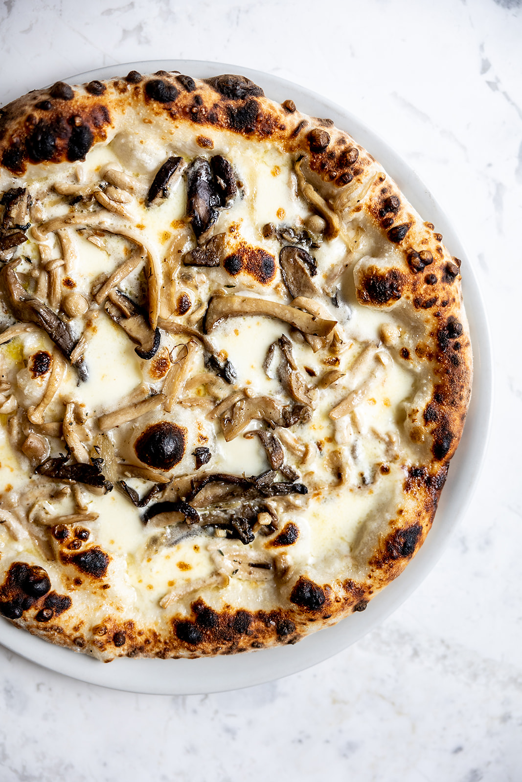 The Royal Funghi Pizza