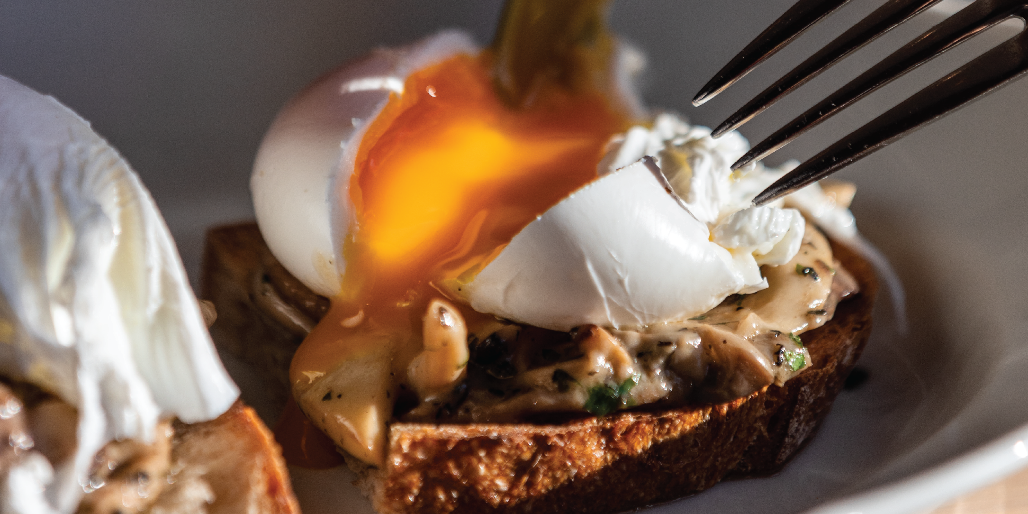 Mushroom Tartine with a poached egg