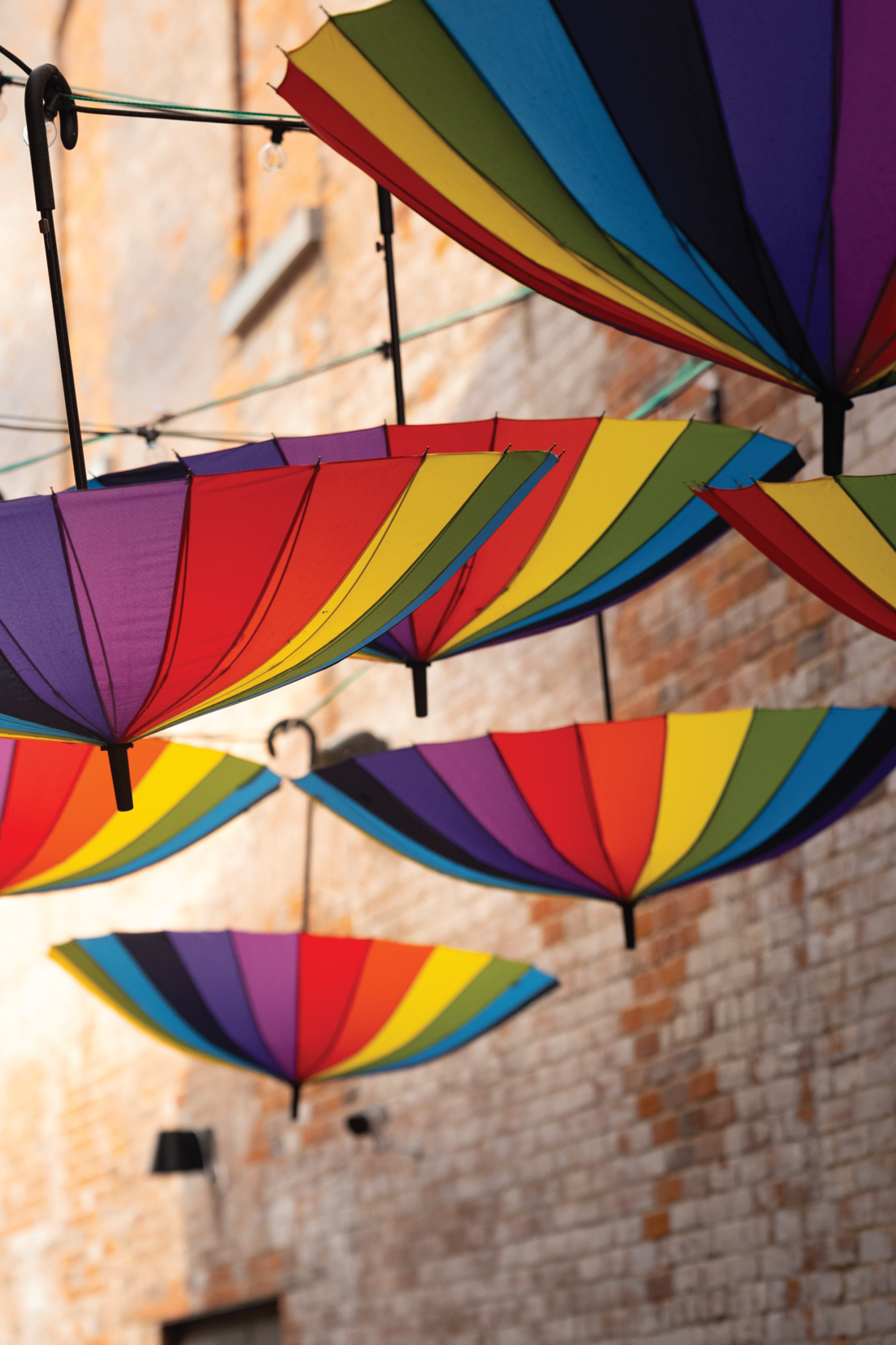 Pride umbrellas hanging above The Counter Bar patio